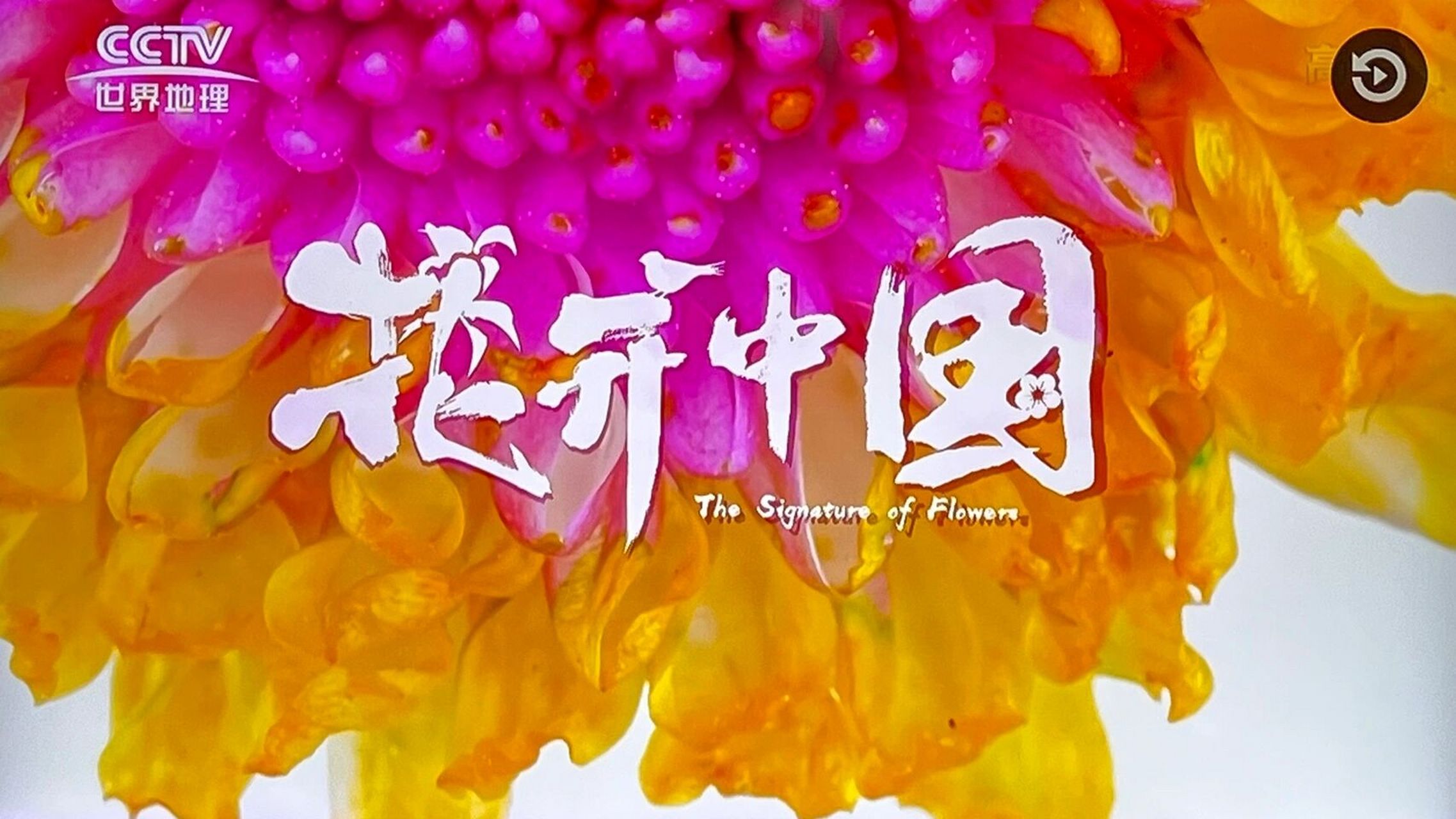 纪录片推荐《花开中国》
