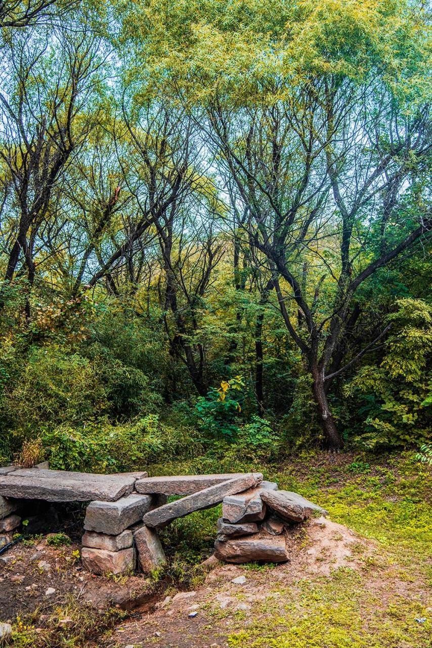 世界三大石柱群之一 青岛即墨马山石林 山东青岛即墨区马山地质公园