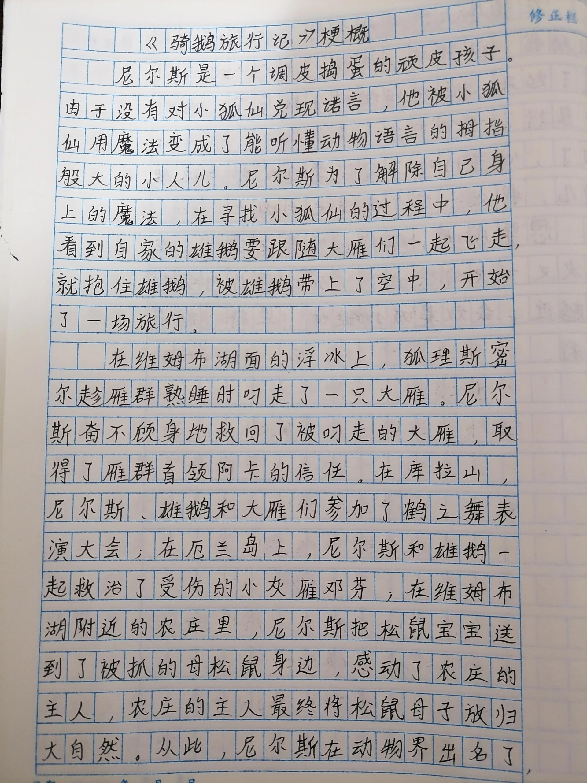 骑鹅旅行记的梗概200字图片