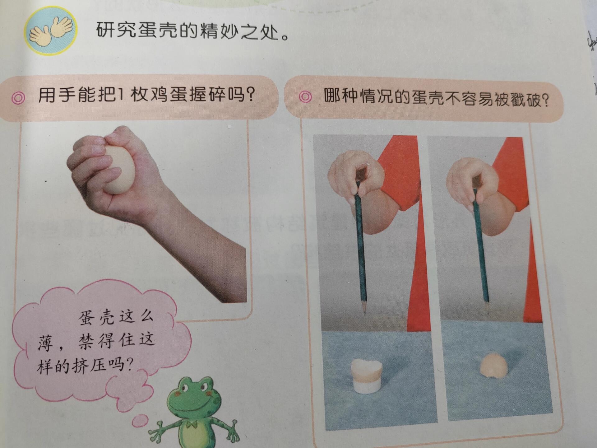 蛋壳与薄壳结构