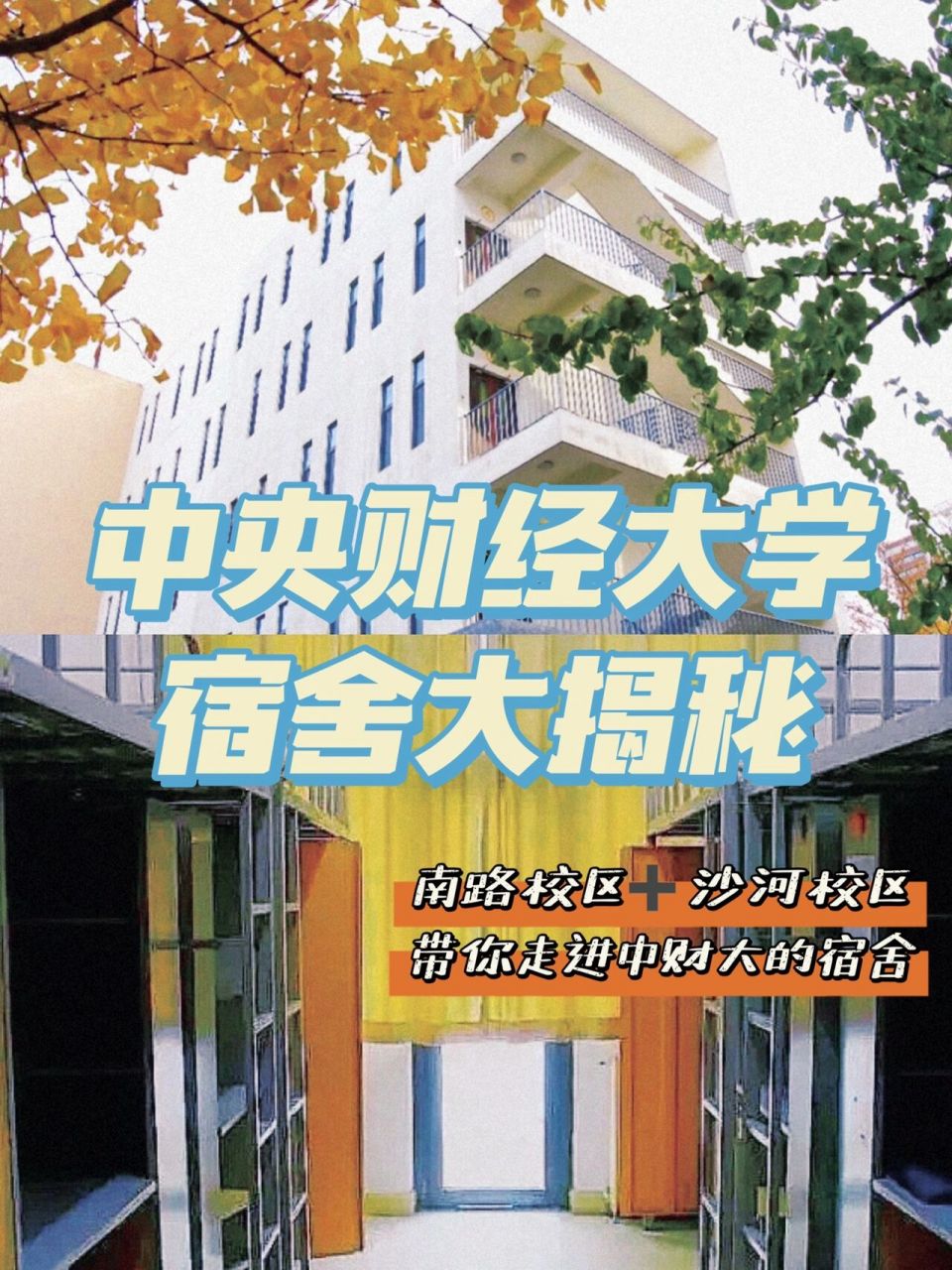 中央财经大学有几个校区(中央财经大学本部有哪些学院)