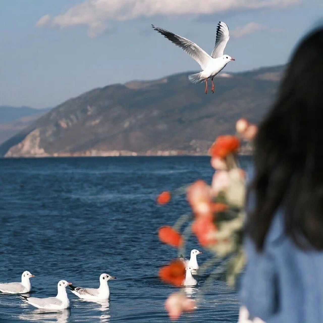 好看的女生背影头像91