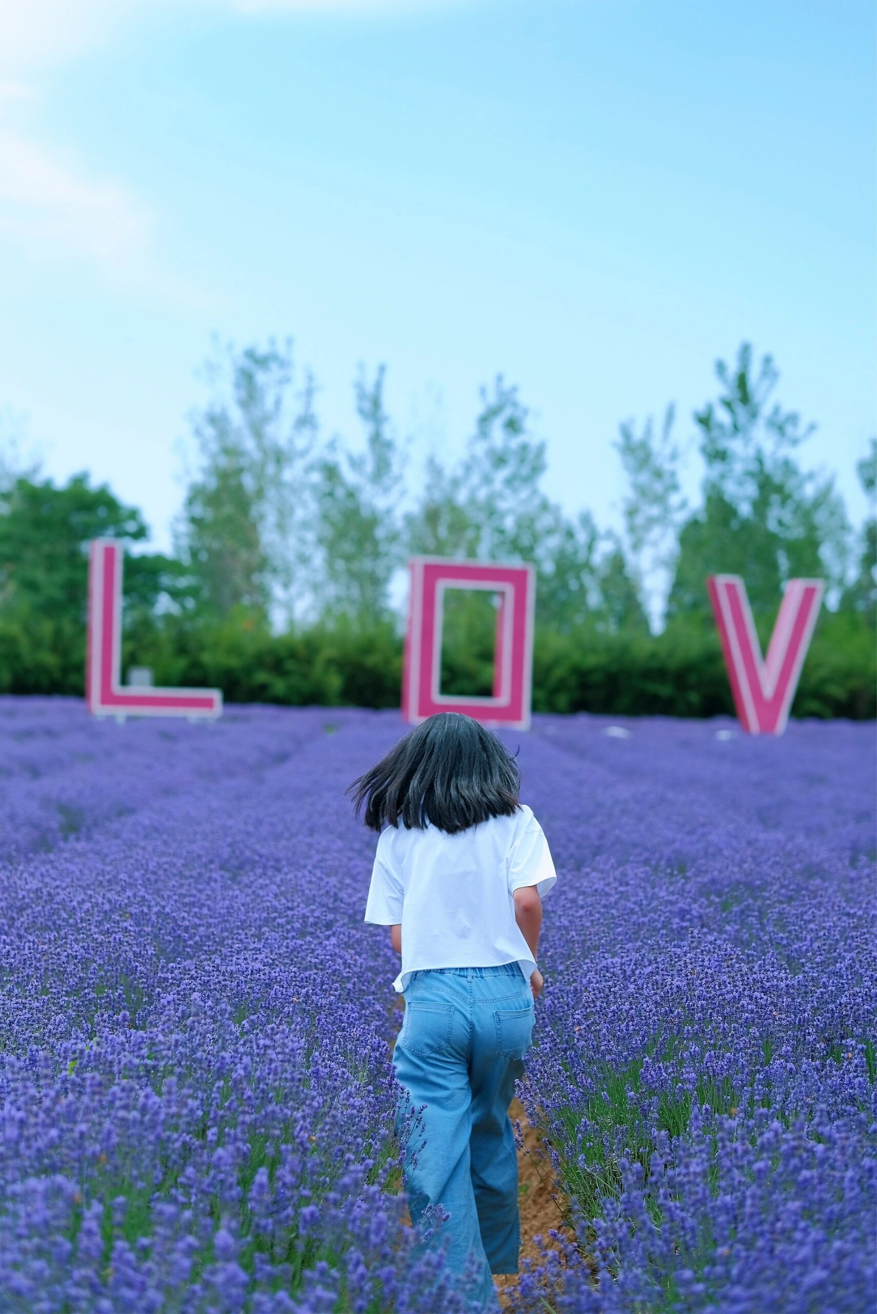 香海琴枫浪漫庄园 96推荐项目: 73滑梯乐园 从入口直走没多久就能