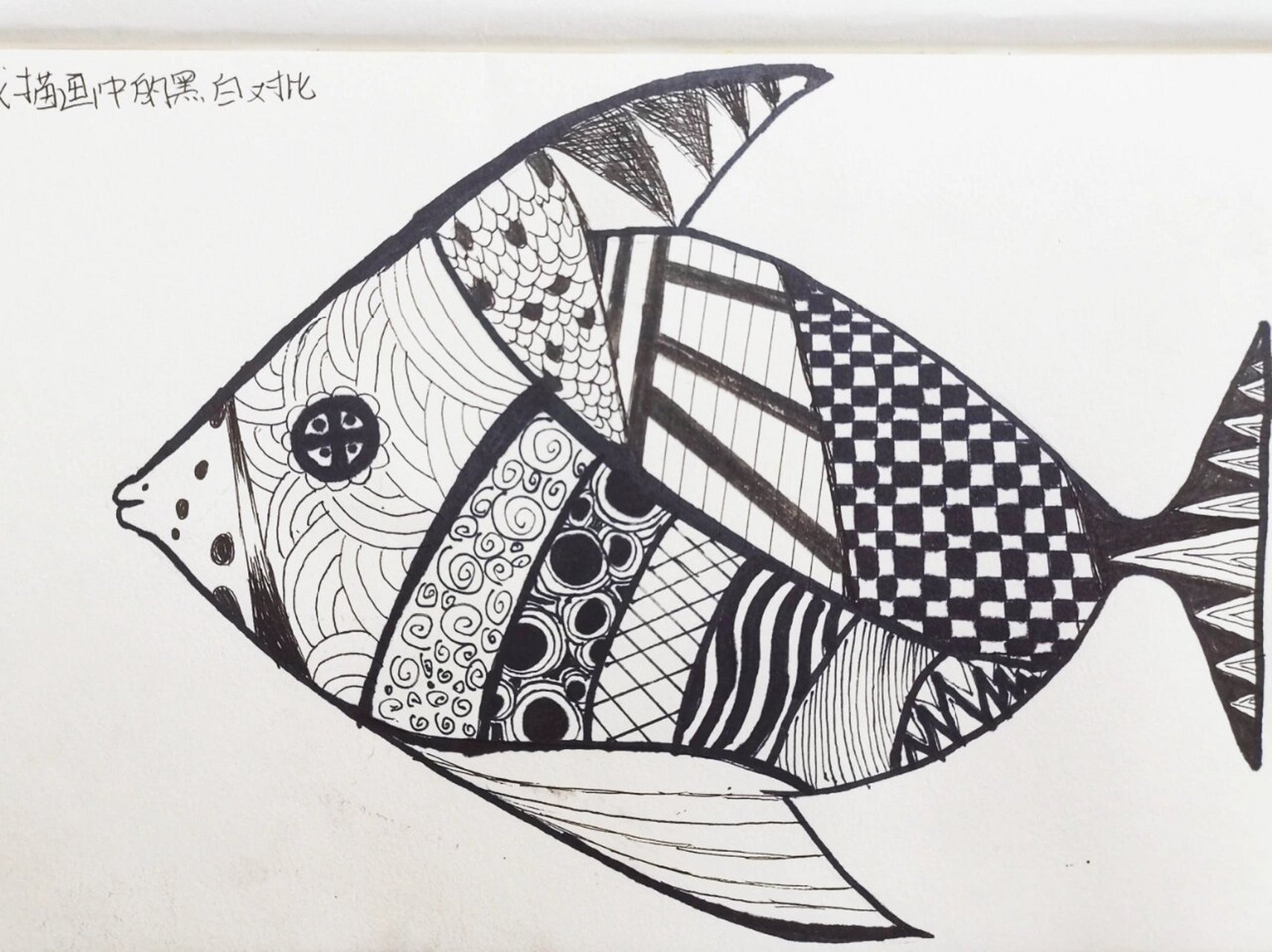 六年级——《线描中的黑白对比》
