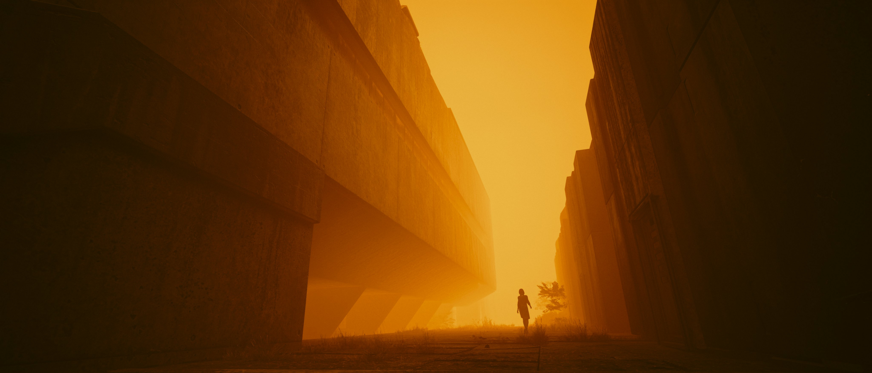 赛博朋克2077#游戏摄影,灵感来源于#银翼杀手2049#   (via twi hary