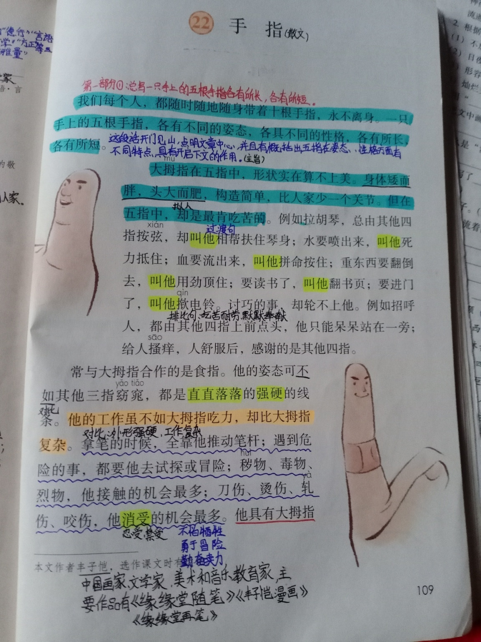 五年级下册22课《手指》完整笔记