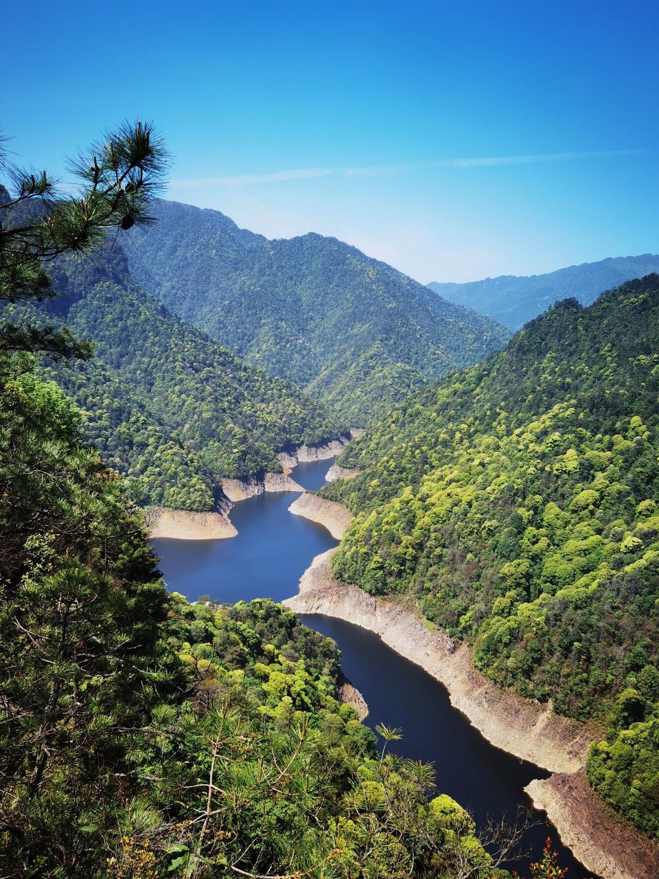 五一井冈山游3 今天第三天走c线主峰五指峰,也叫"财山",90年发行的100