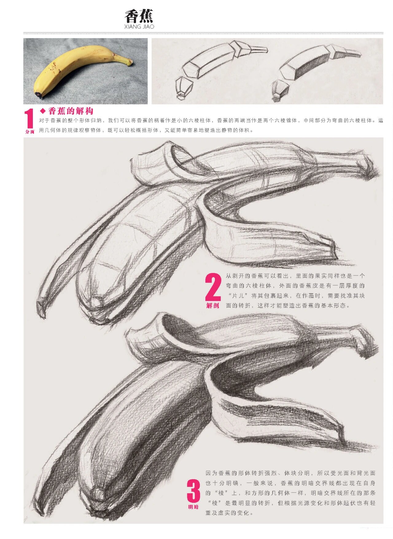 素描香蕉的步骤画法