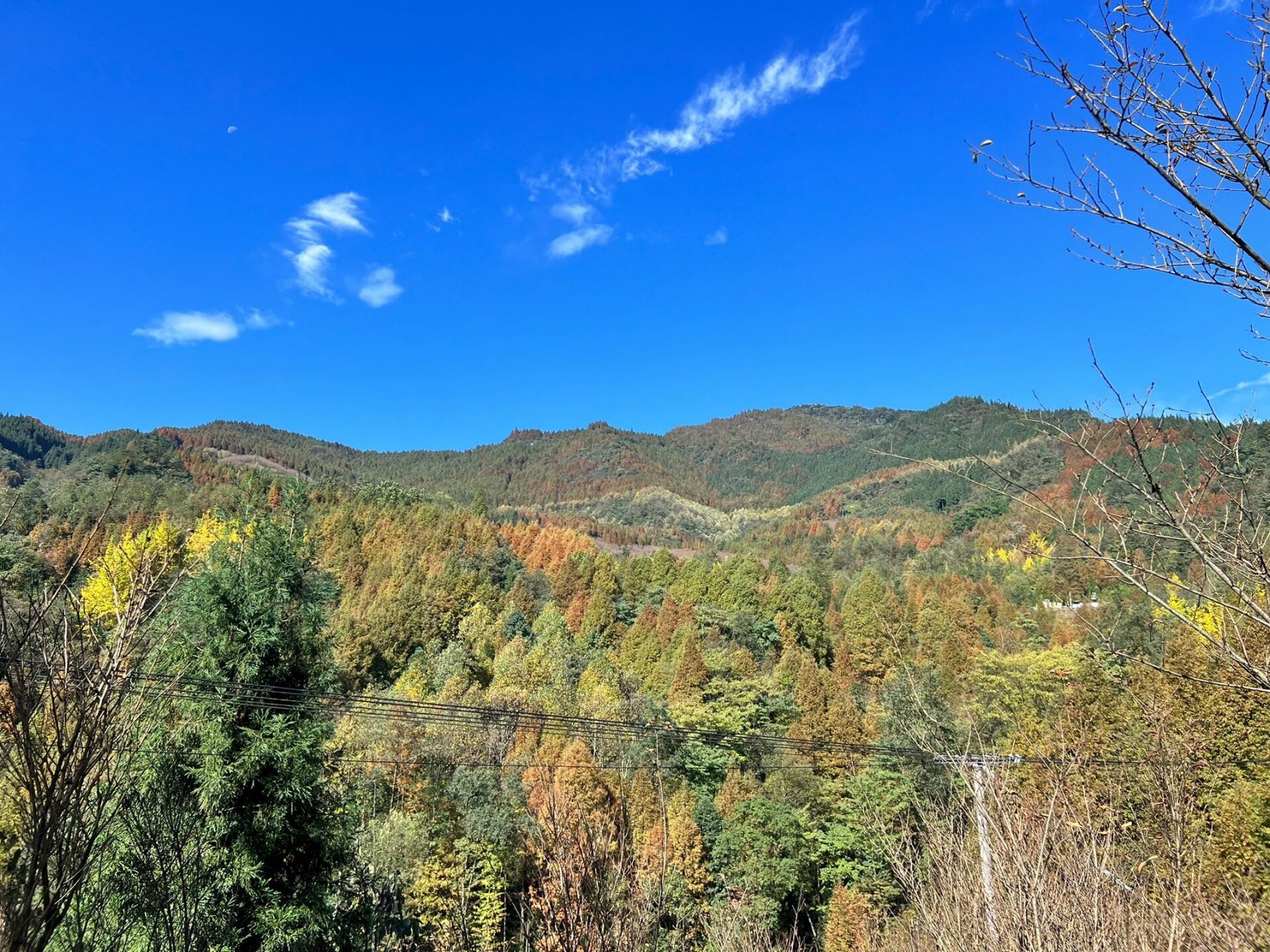 每周一山(16)崇州金凤山 74时间:10:00集合 08交通:65公里,1.