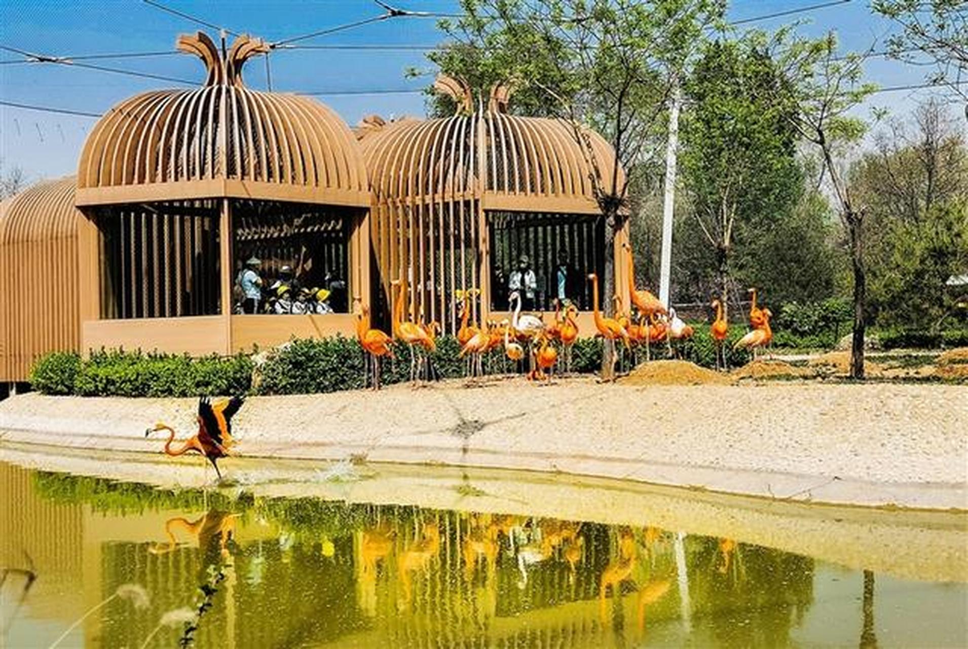 太原【爱鸟护鸟】  4月19日,太原动物园开展爱鸟周科普主题宣传活动