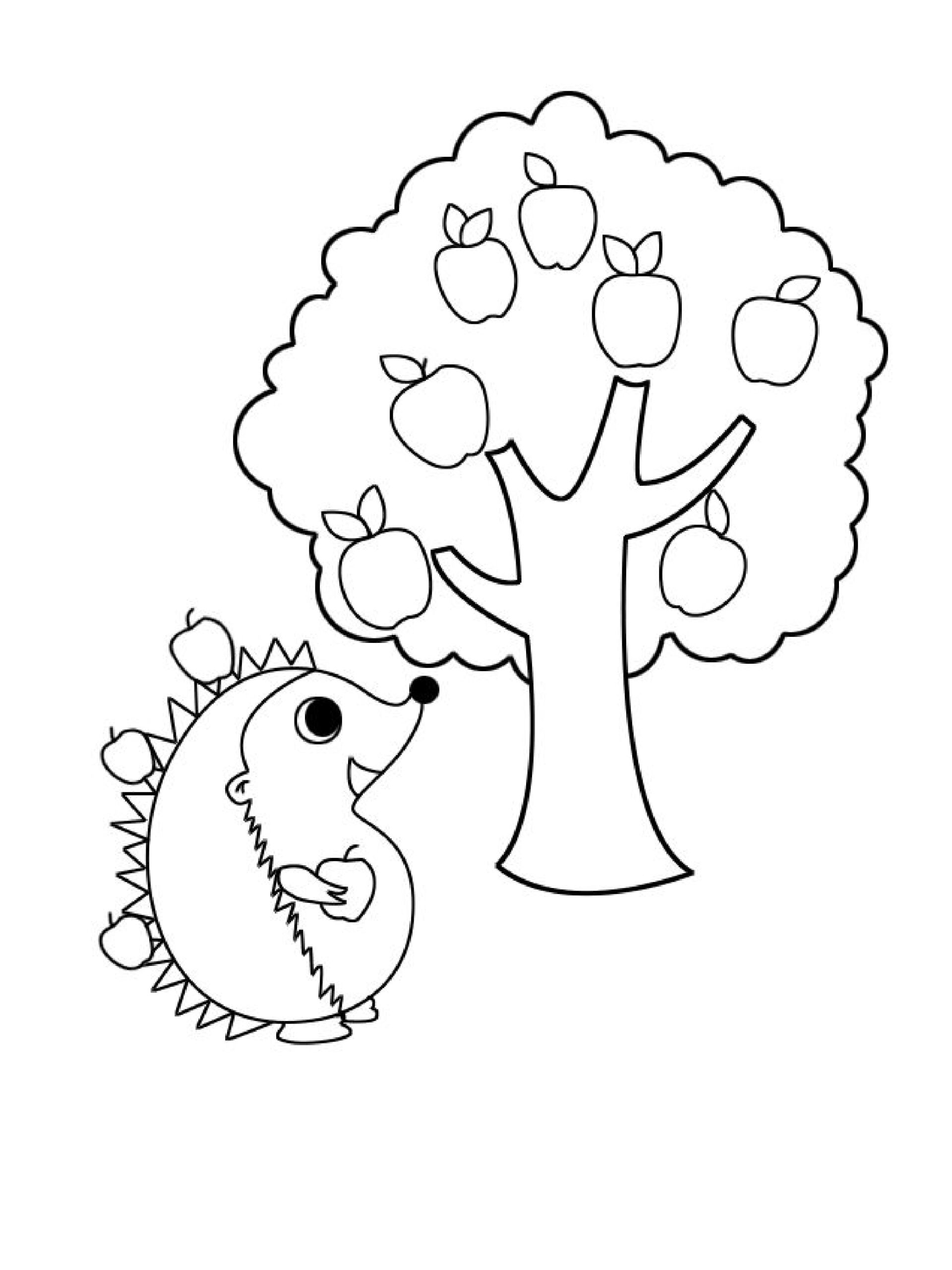 手绘简笔画|苹果树下的小刺猬
