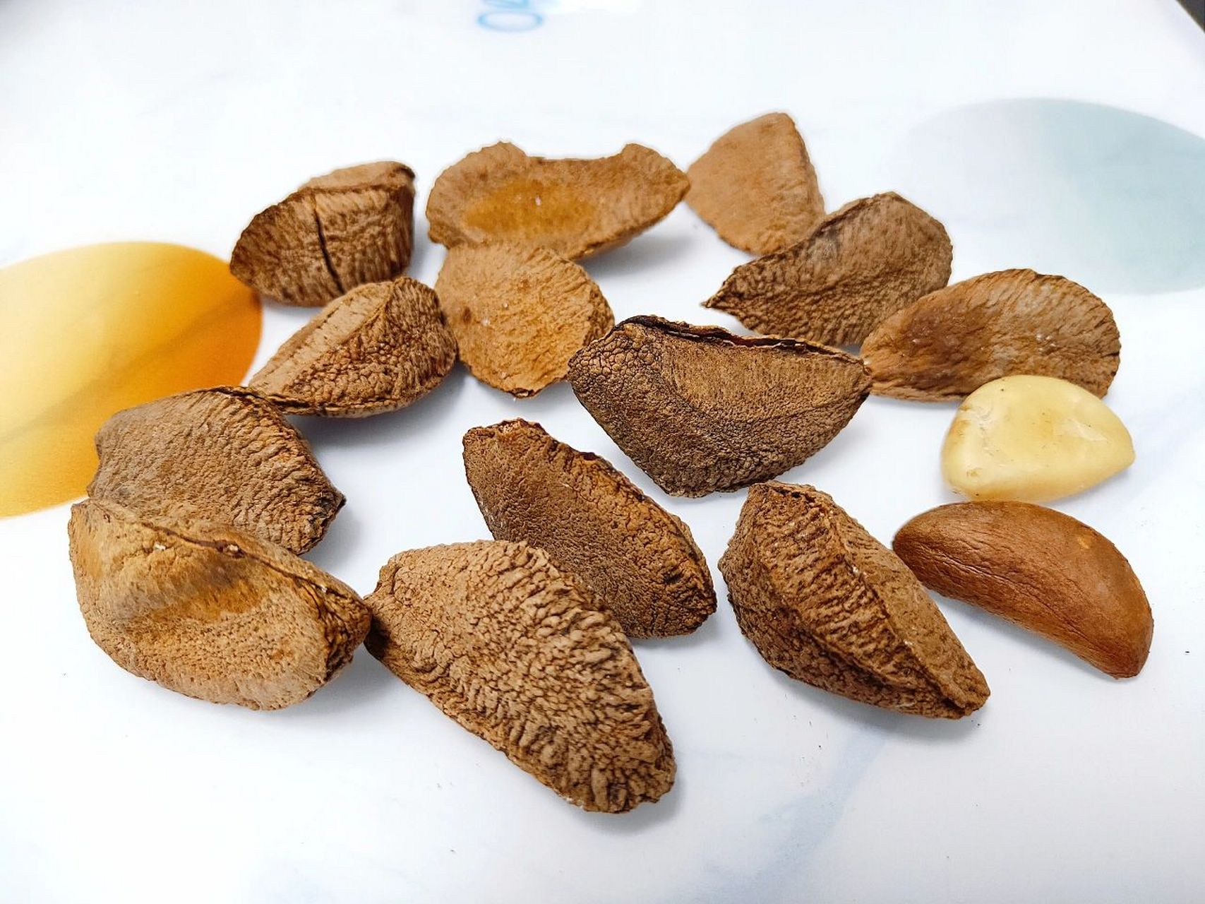 新疆特产:分享一个新疆特有干果【沙漠果】 93沙漠果是一种干果,看