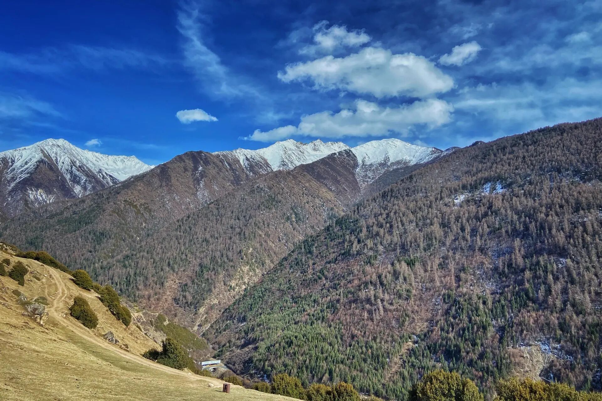 四姑娘山海子沟攻略-超美景区徒步路线 门票:60元游览方式:全程徒步