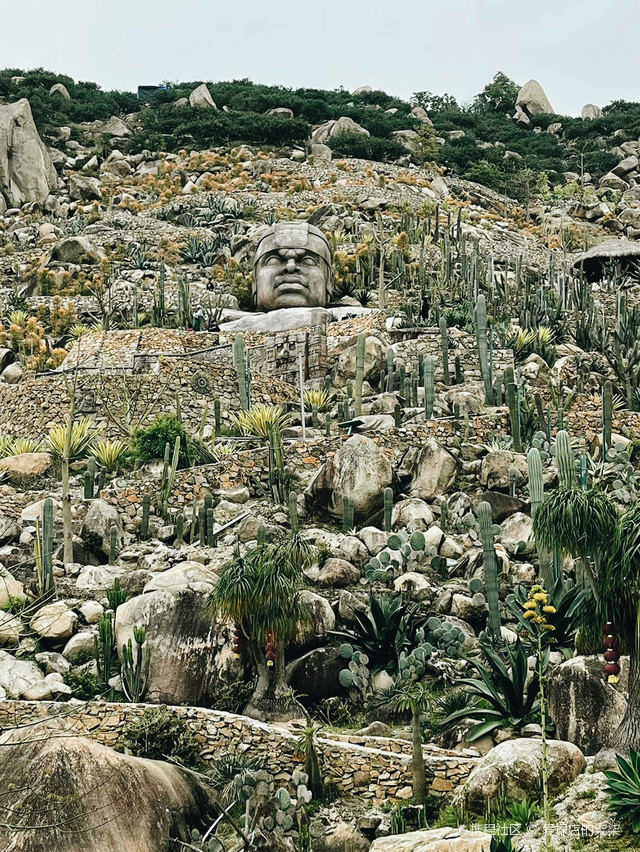 福建石岩植物园门票图片