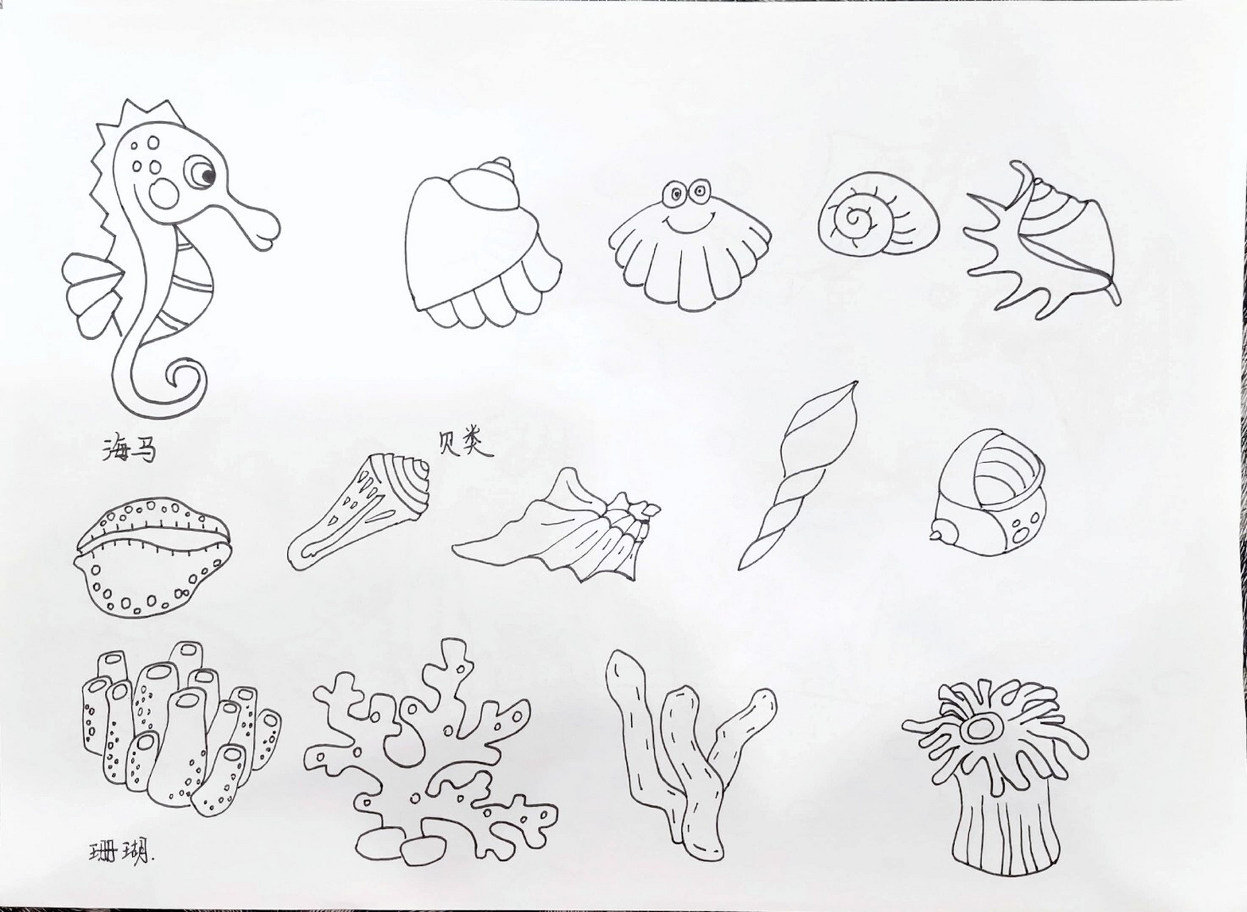 幼师考编～水族类动物创编主题简笔画 海底世界简笔画(水族类动物
