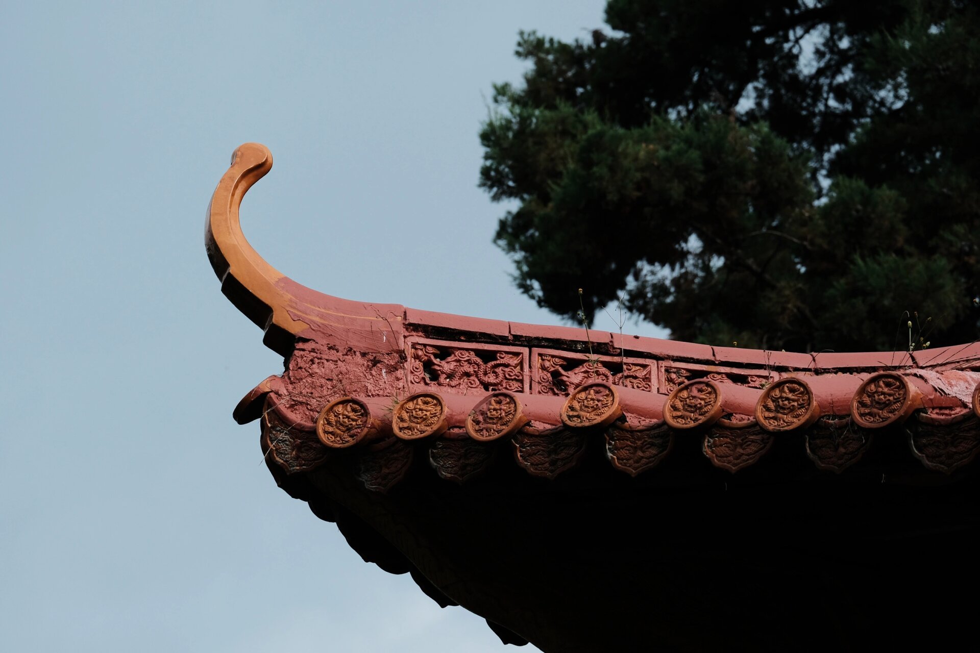 fujifilm|昆明妙高寺 万事只求半称心