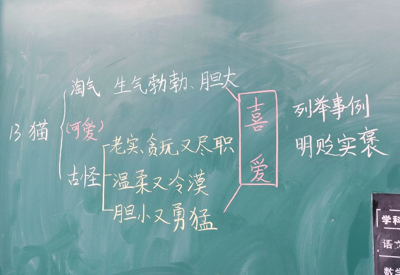 部编版四下语文《猫》的板书设计,详细版