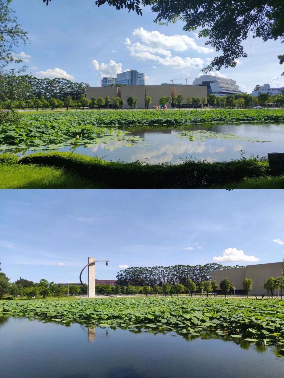 新校区;新风貌;新学期;新气象; 欢迎来到汕头大学      有需要了解