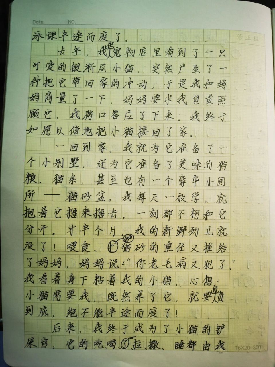 《我收获了……》五年级大作文 五年级《我收获了耐心》
