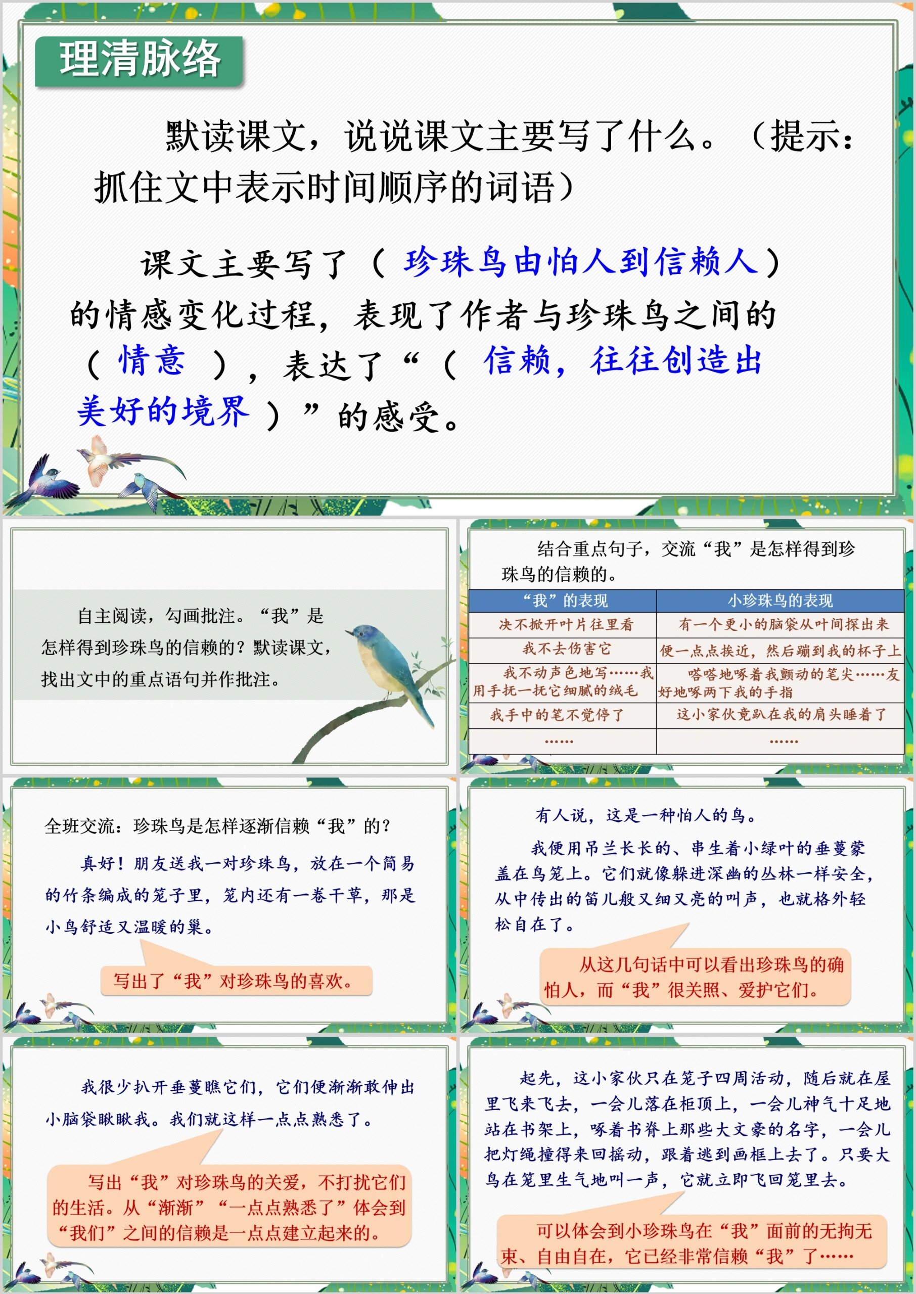 珍珠鸟生字图片