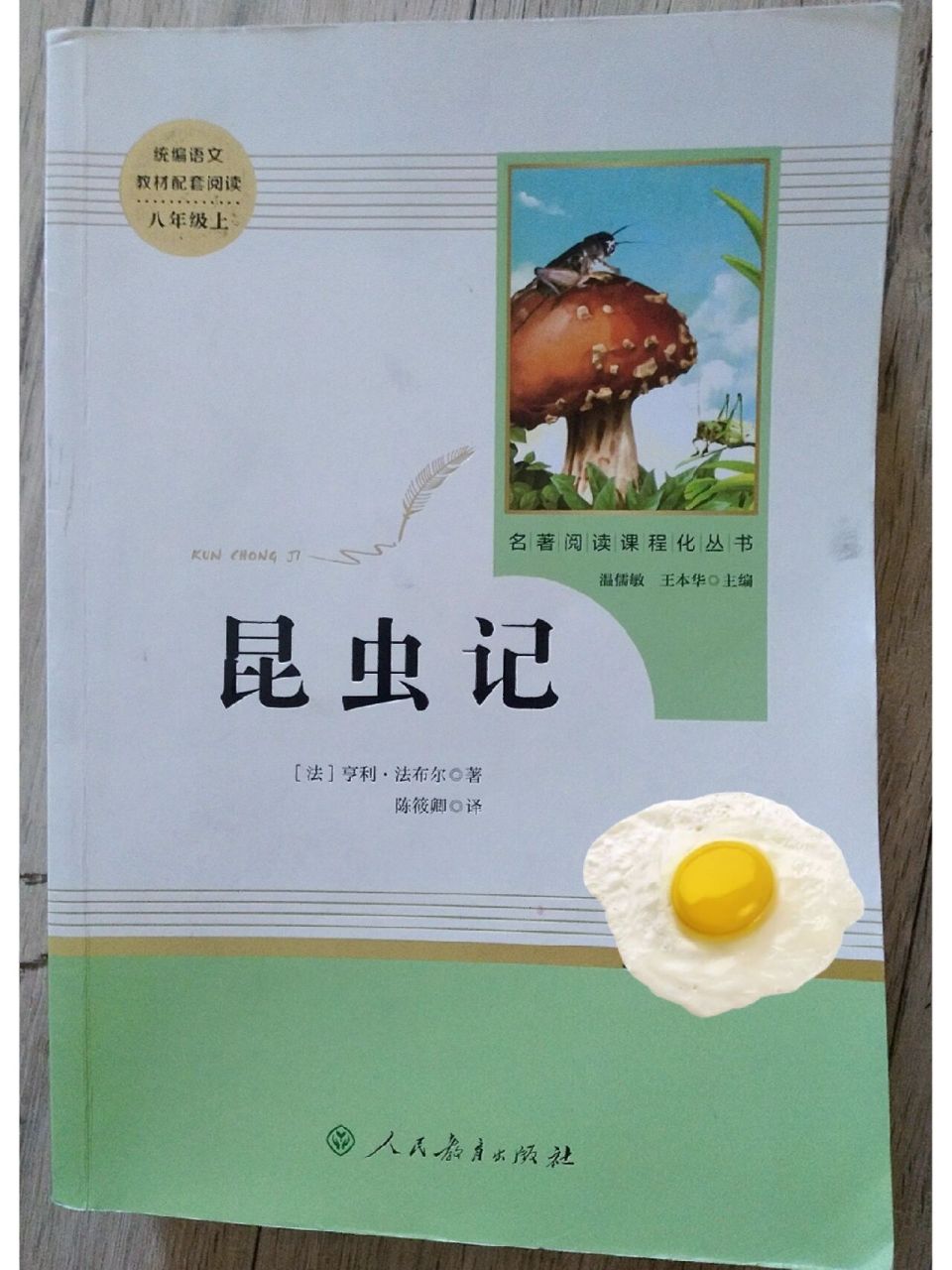 《昆蟲記》昆蟲名片 綠蟈蟈,象態橡慄象昆蟲名片