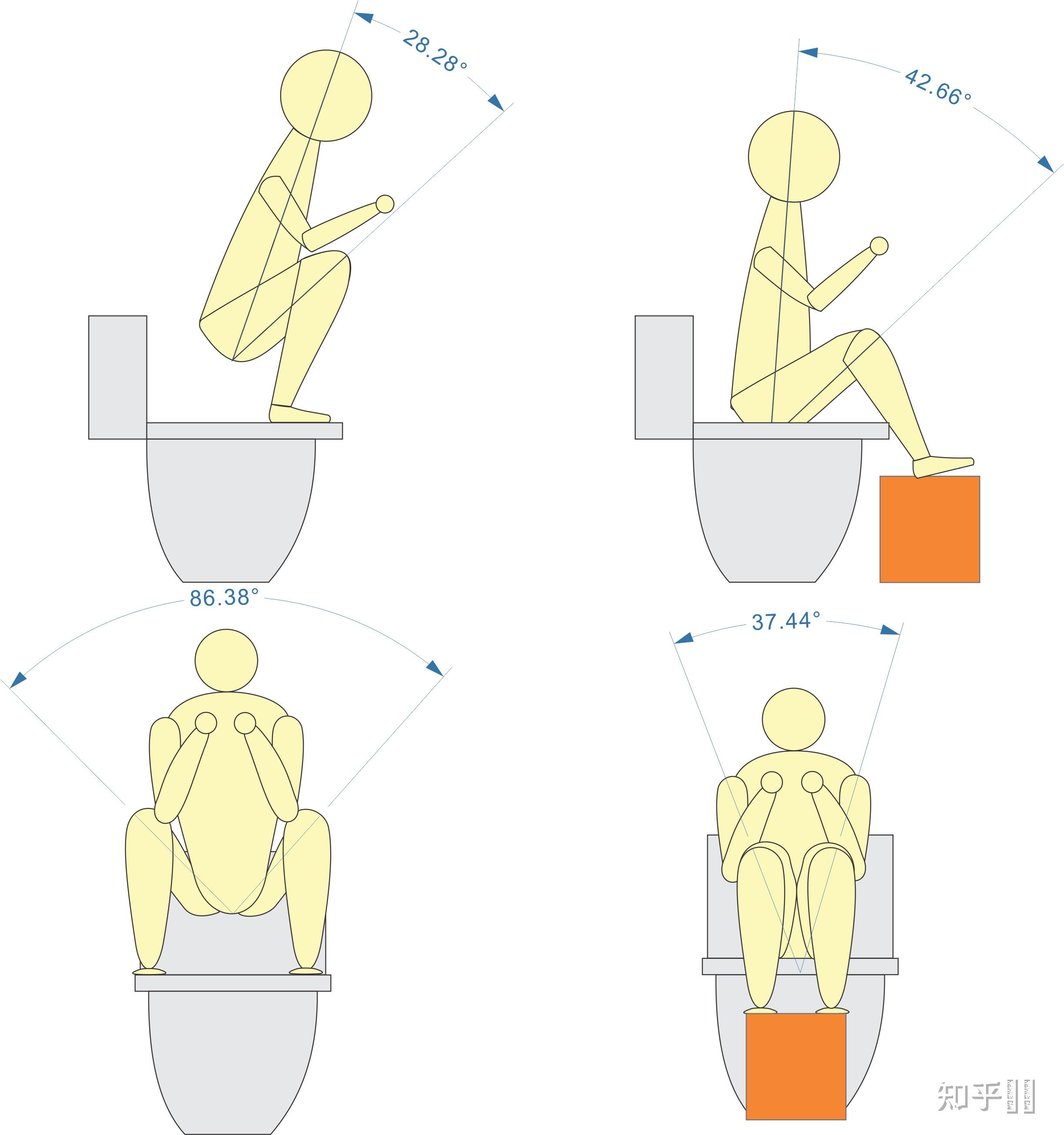 坐在马桶上为啥拉不了屎大家会这样吗