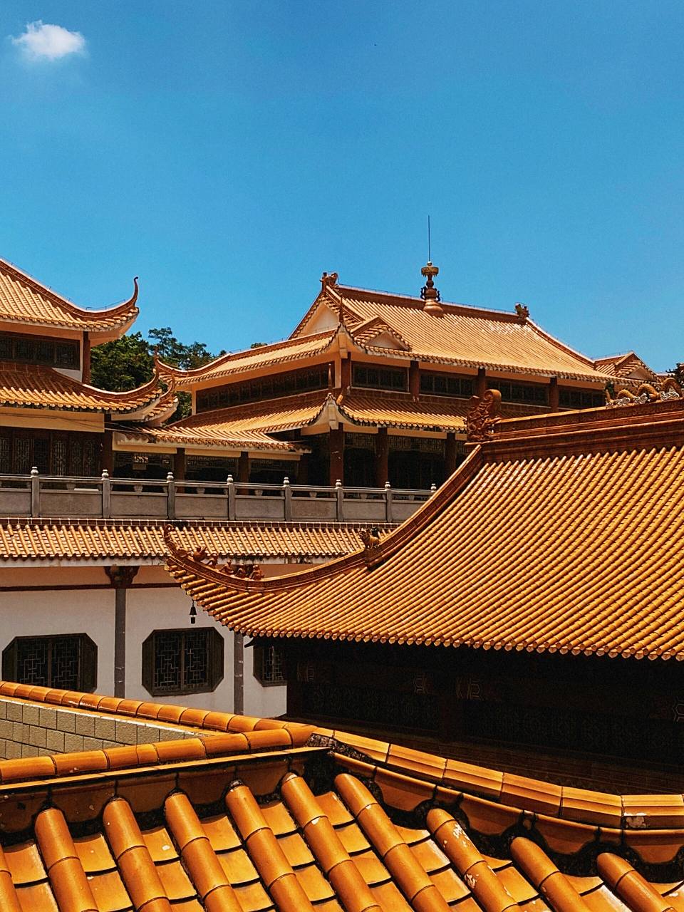 弘法寺--有求必应 暑期目的地之一:深圳仙湖植物园里的弘法寺啦 麻麻