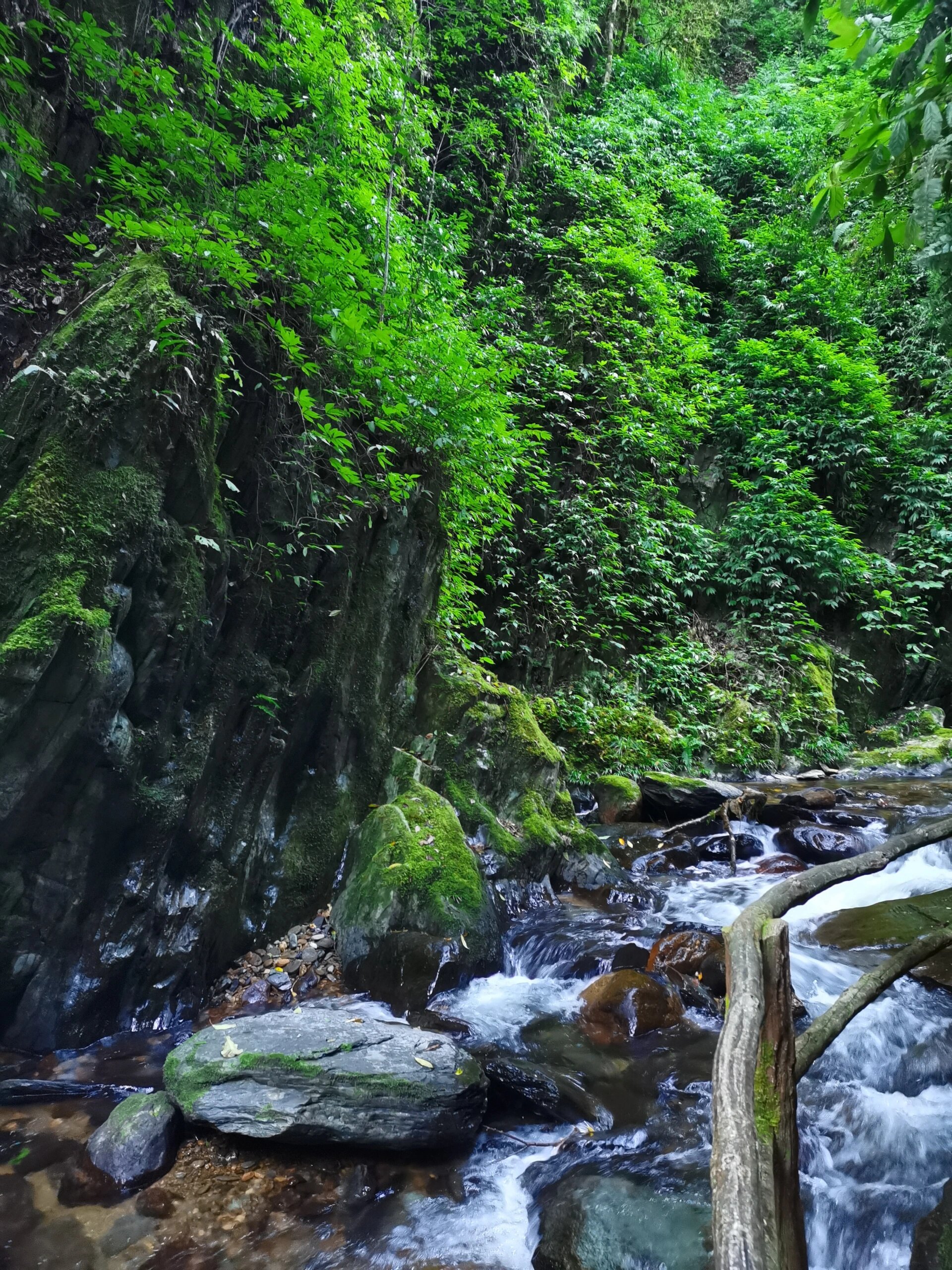 新平戛洒2日游(云海日出观景台-石门峡) 戛洒,一个魅力的小镇 我们去