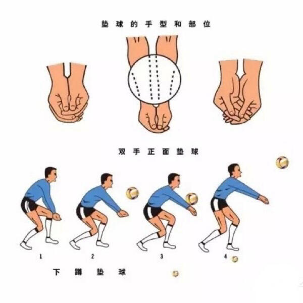 排球对墙垫球技术动作