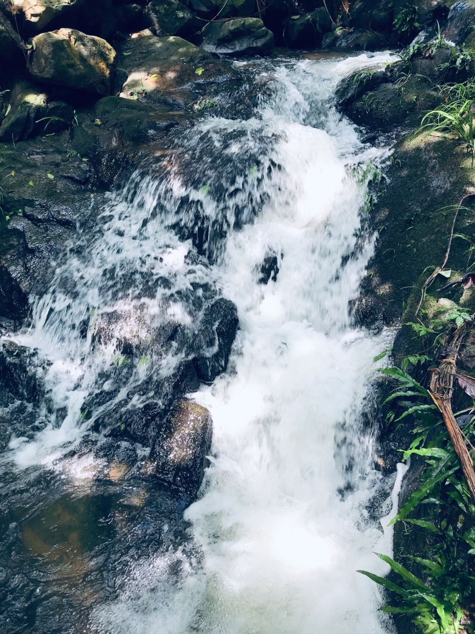 广西陆川旅游景点大全图片