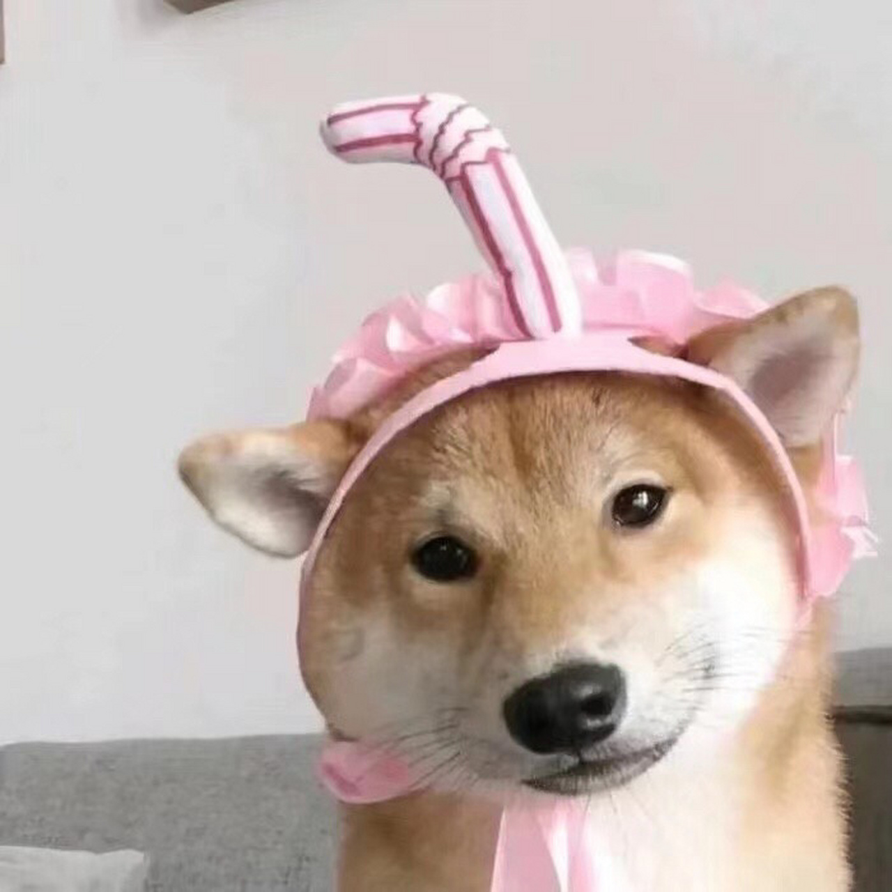 奇葩头像,搞笑图片,搞笑表情包