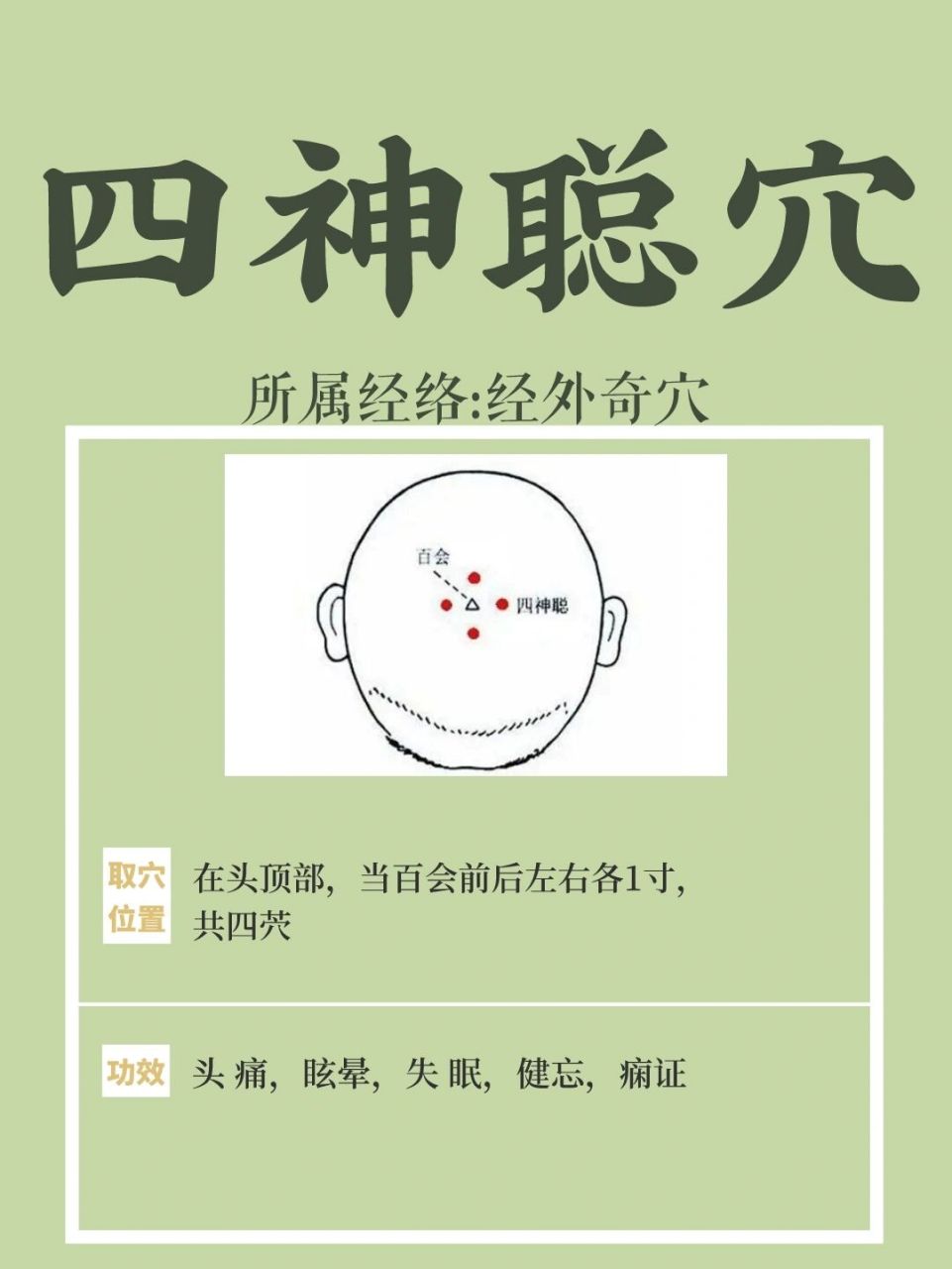 经外奇茓67四神聪茓97健脑yi智的"良药" 97四神聪茓位于头顶部
