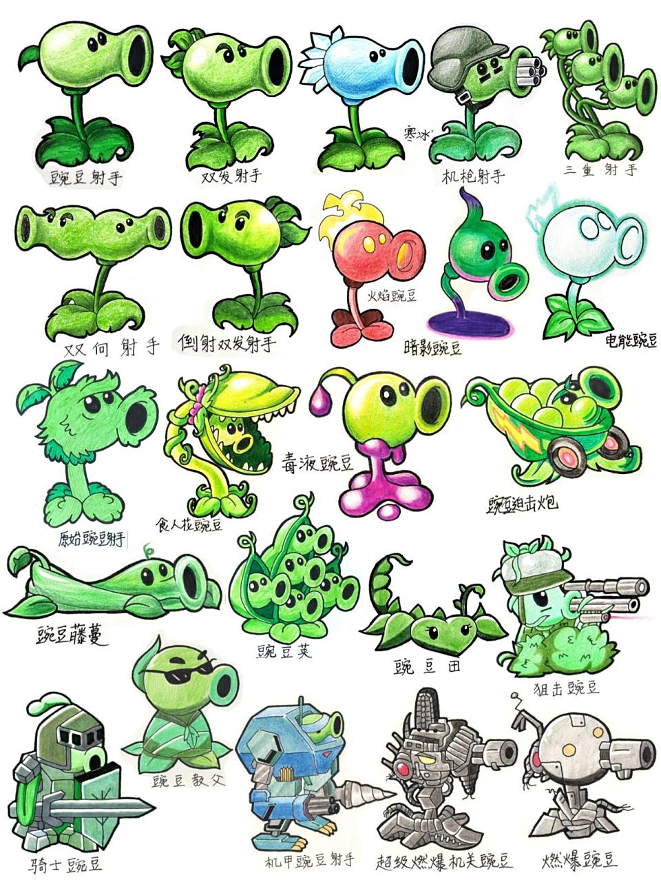 植物大战僵尸绘画 豌豆家族      #植物大战僵尸绘画 豌豆家族