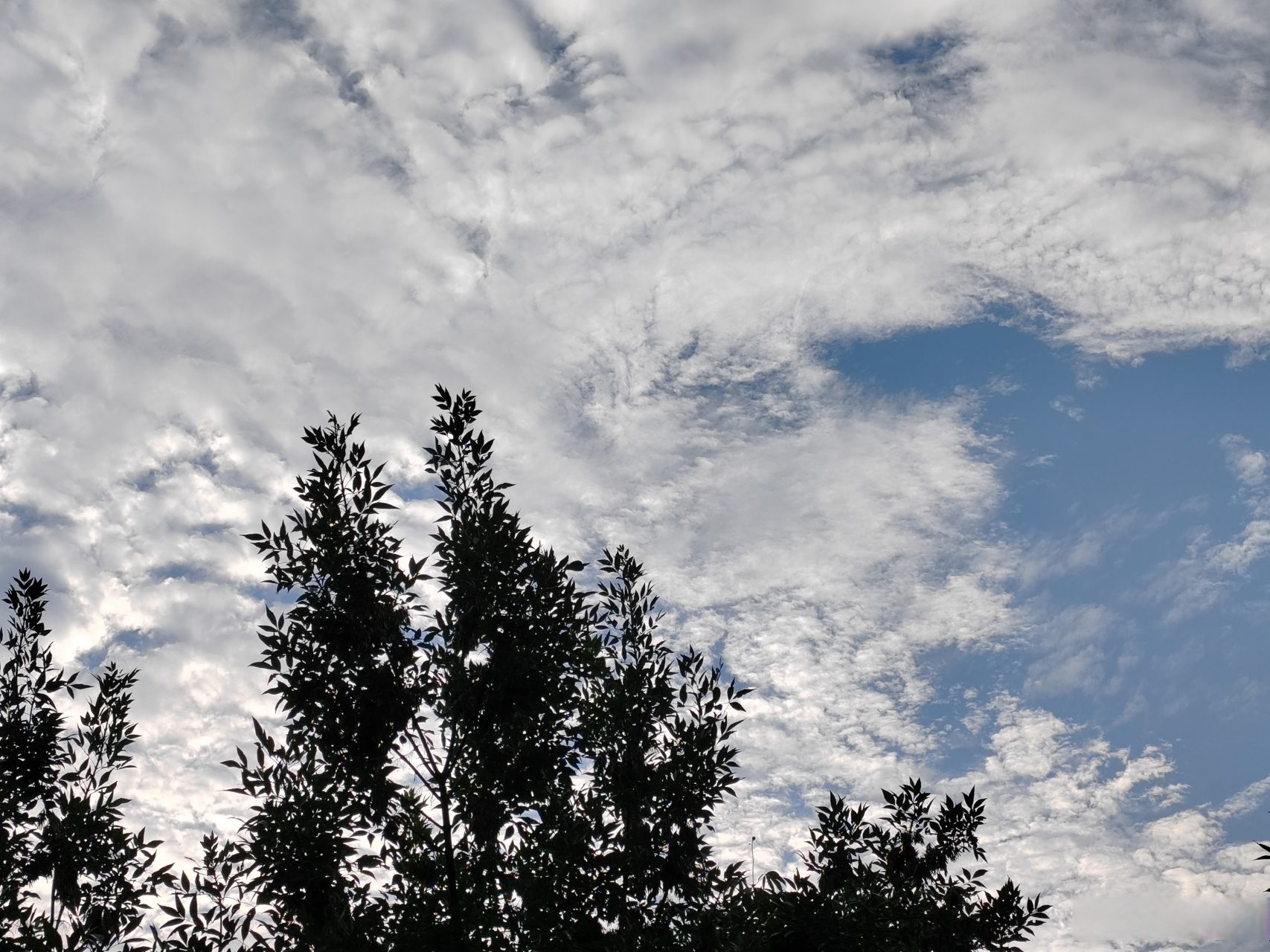 【抄书打卡第589天:梁惠王下】 乐民之乐者,民亦乐其乐;  忧民之忧者