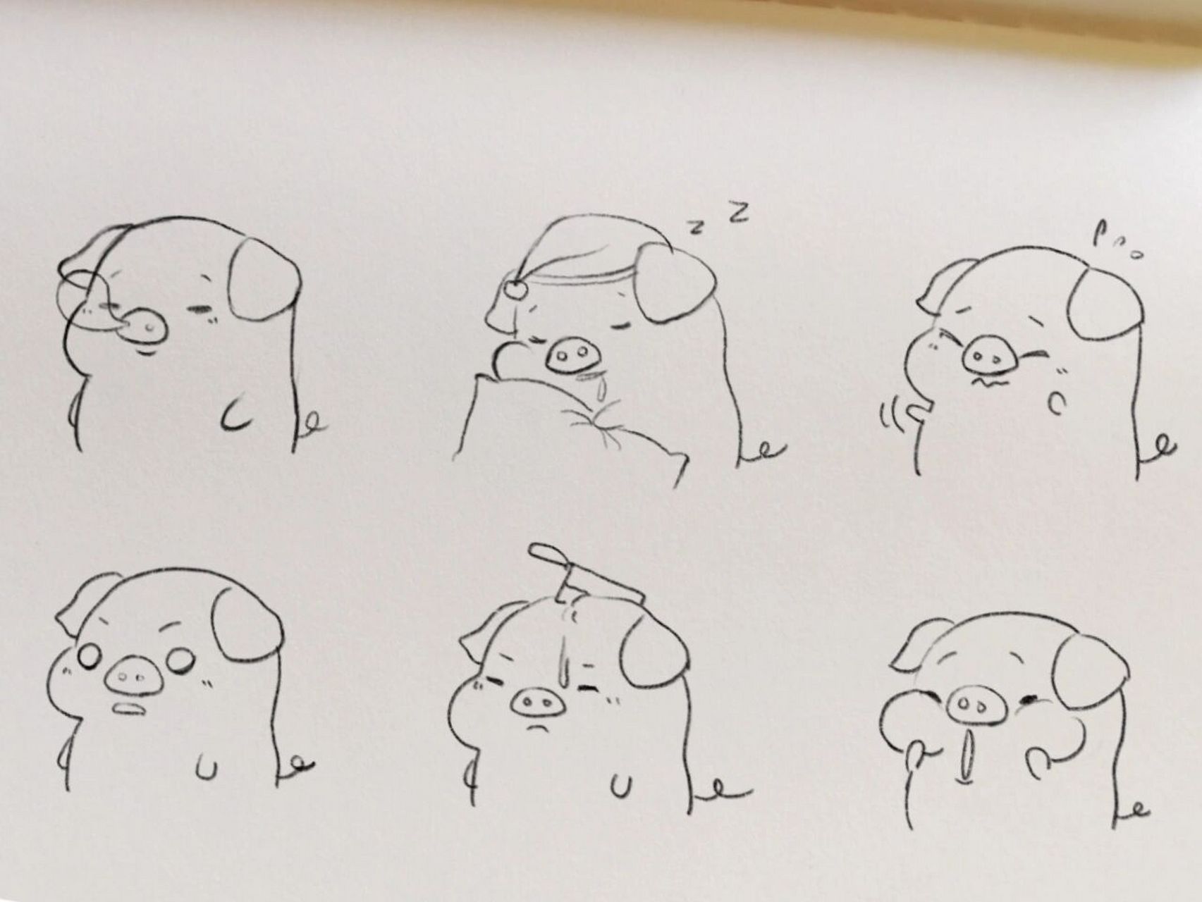 今日分钟:可爱小猪 闲来无事画一组可爱小猪～ 图片来源:肉团生肖