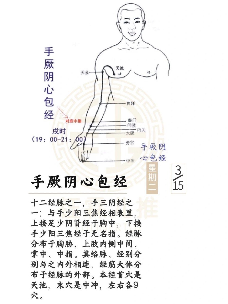 明天开始分享手厥阴心包经的各穴位!