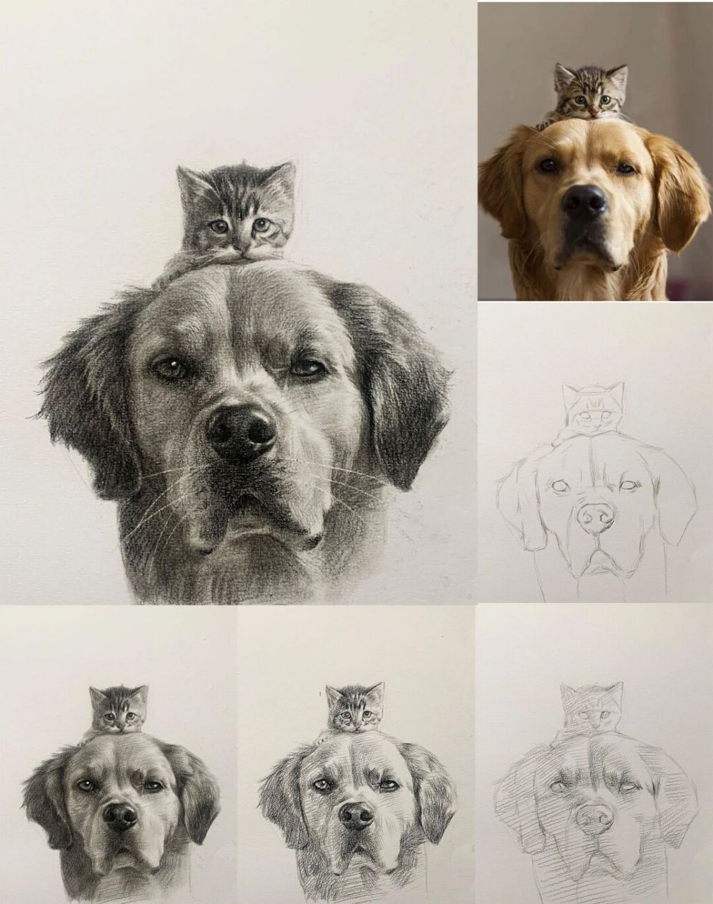 上面有只好小的"喵"超可爱的步骤详解 #明暗的艺术##素描# #素描动物