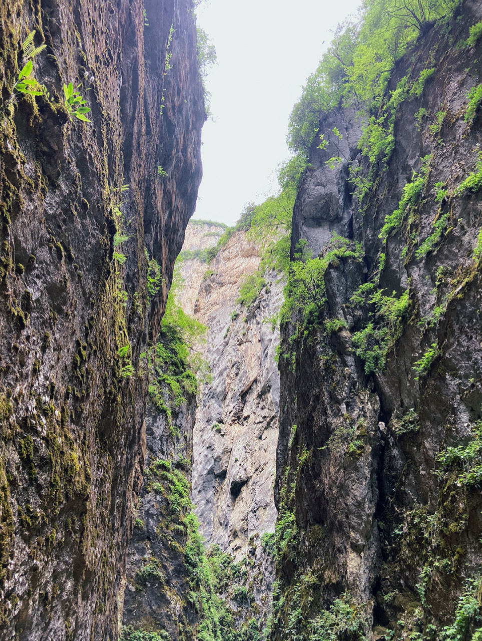兰州周边游玩98|溯溪初体验 兰州周边溯溪好去处72遮阳山旅游风景