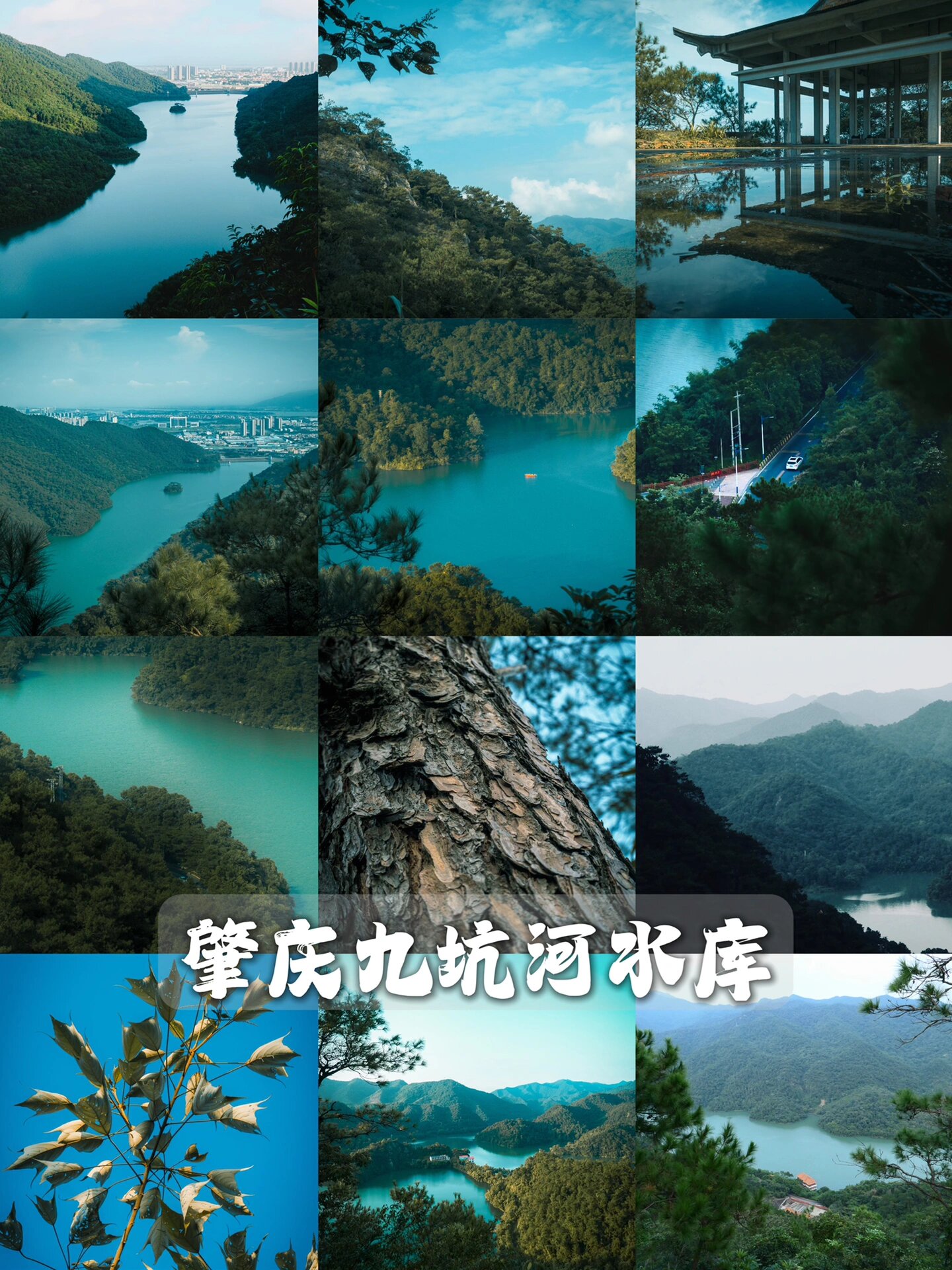 探秘九坑河水库,肇庆之美 99 99 地点:肇庆鼎湖区 · 九坑河水库