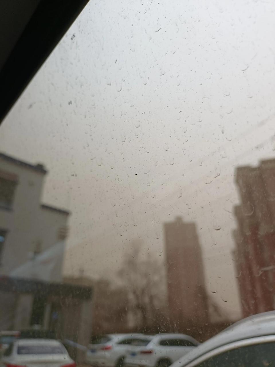 天是灰蒙蒙的,风是狂暴的,心情也是灰蒙蒙的.