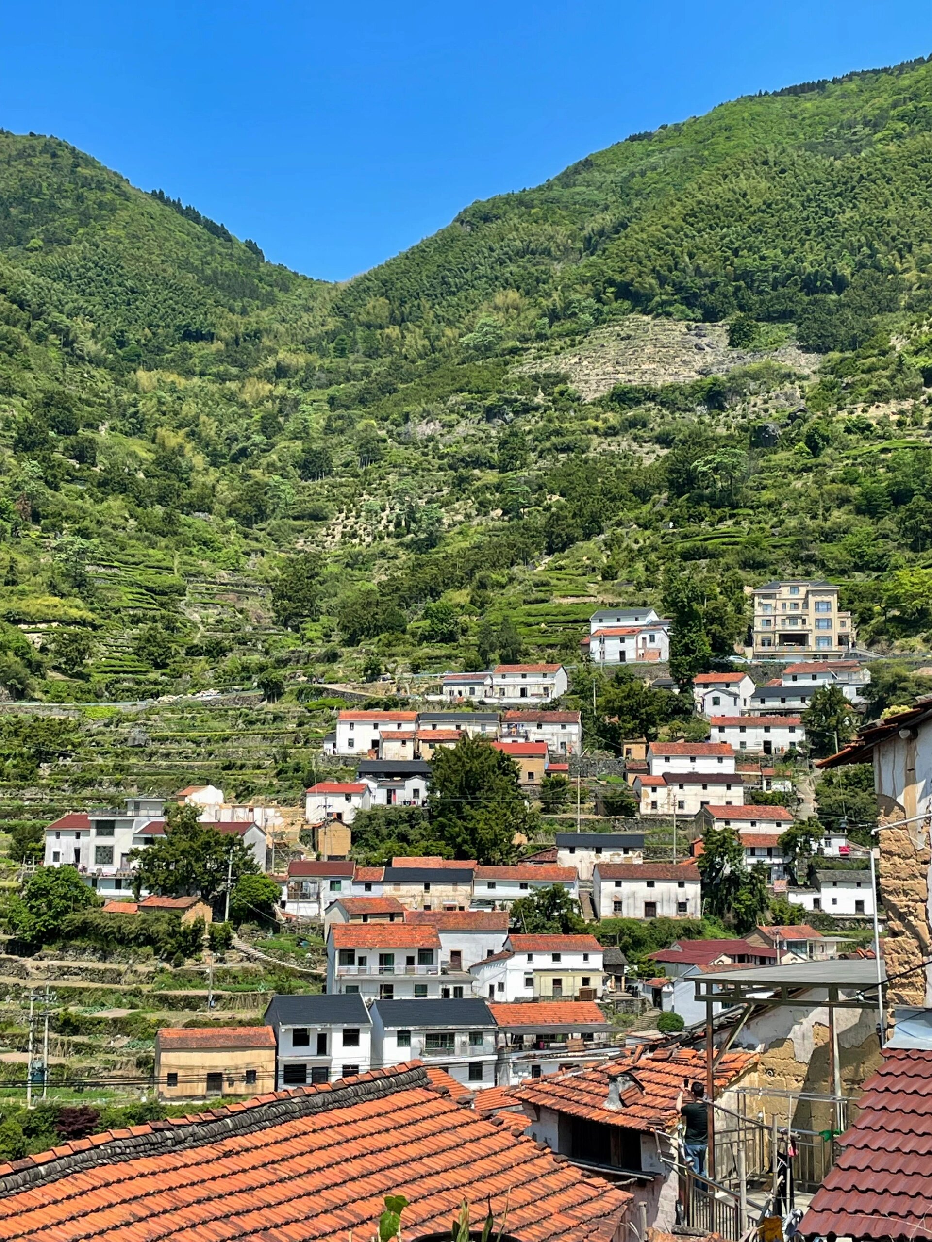 绍兴·嵊州🌳藏在大山里的小昆村 绍兴嵊州小昆村