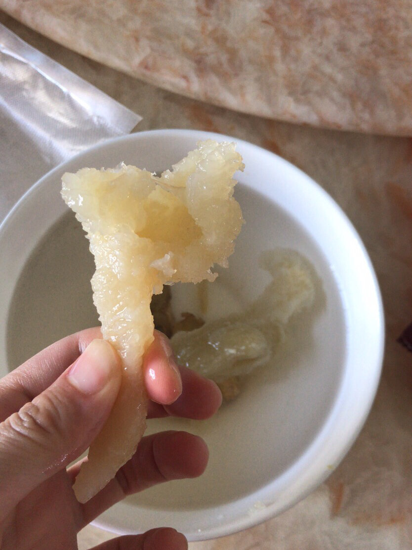 鱼胶泡起来是这样的吗?