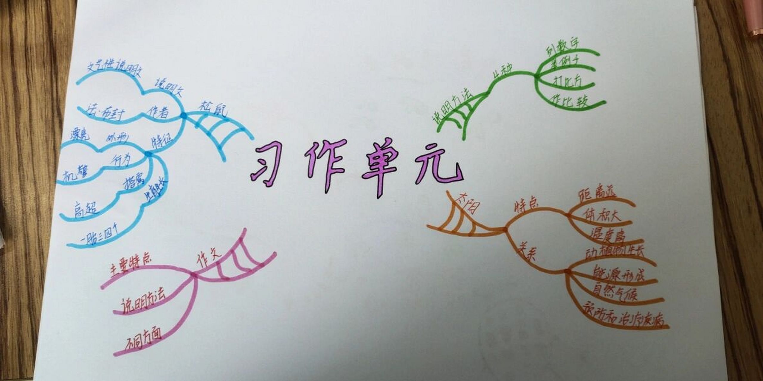 五年级语文第五单元思维导图