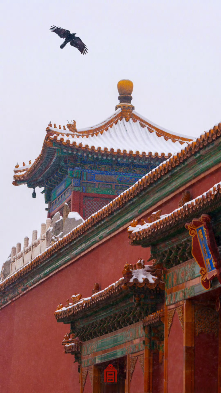 雪中的故宫,红墙金瓦显得更加明艳,与洁白的雪地形成鲜明对比.