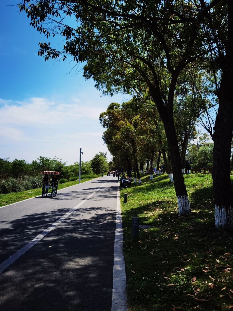 成都踏青|青龙湖湿地公园 96地址:成都龙泉驿区成洛大道(成都大学
