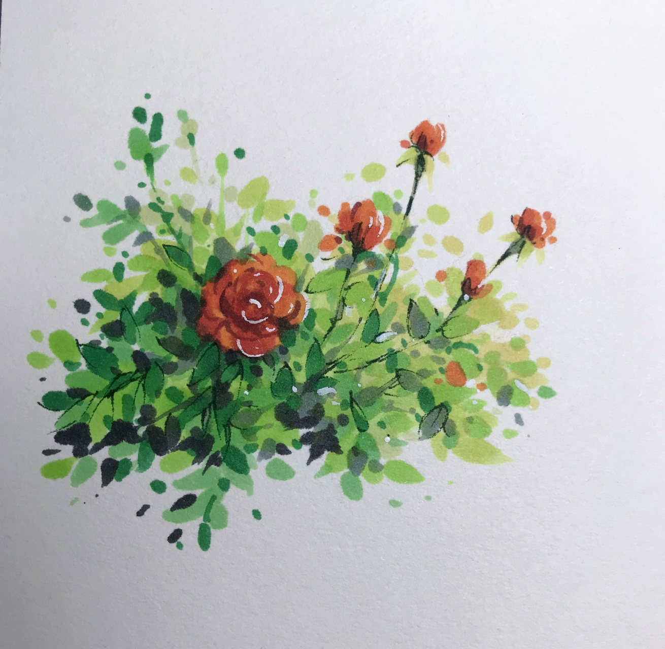 马克笔|玫瑰花教程第n期 又来一个玫瑰花卉教程 色号和步骤都安排上啦