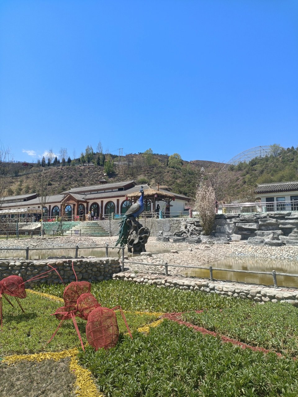 孔雀小镇|凤岛孔雀小镇 孔雀小镇位于太原市娄烦县天池店乡顺道村.