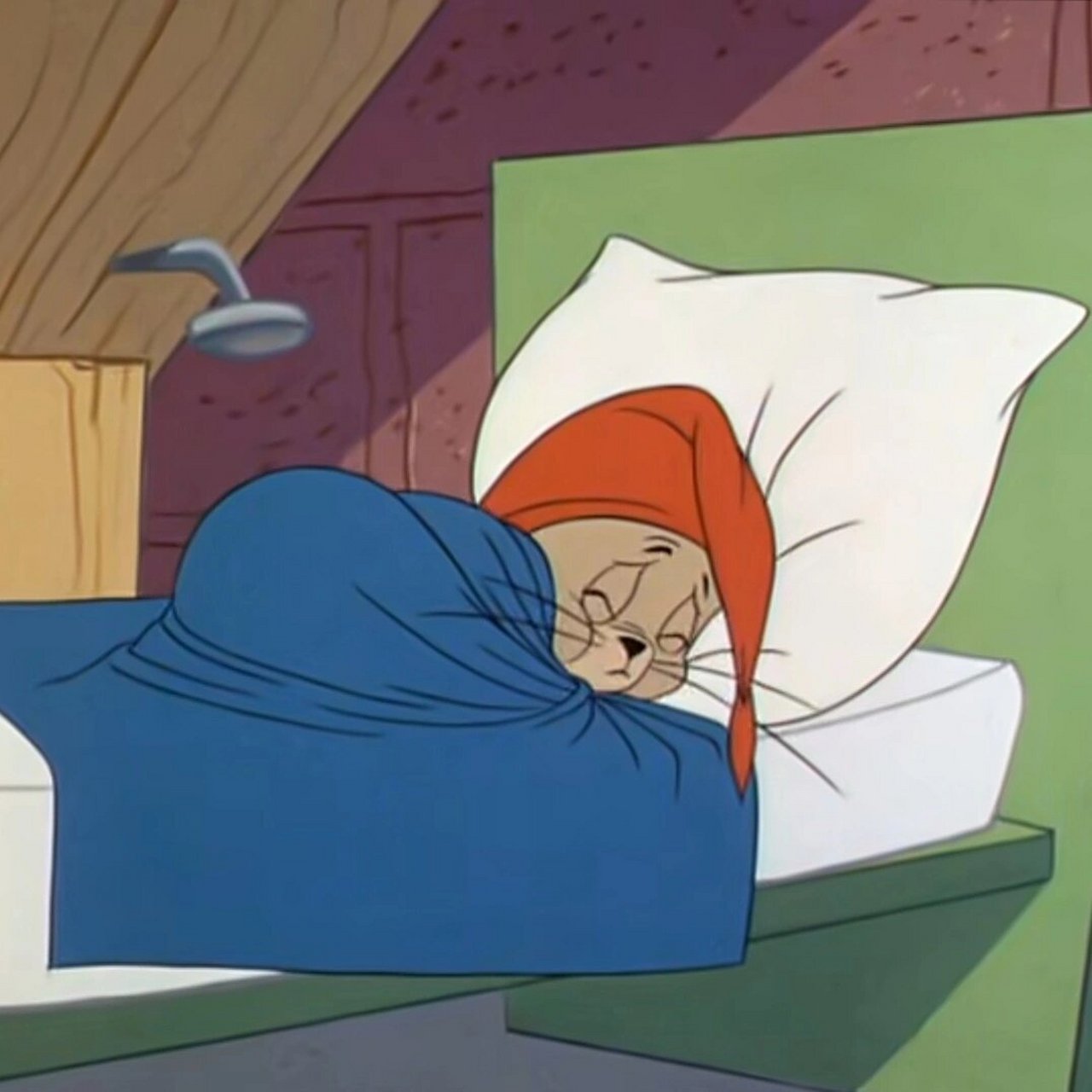 降温了,jerry也要裹紧小被睡觉啦92 看猫和老鼠的时候截下来一组