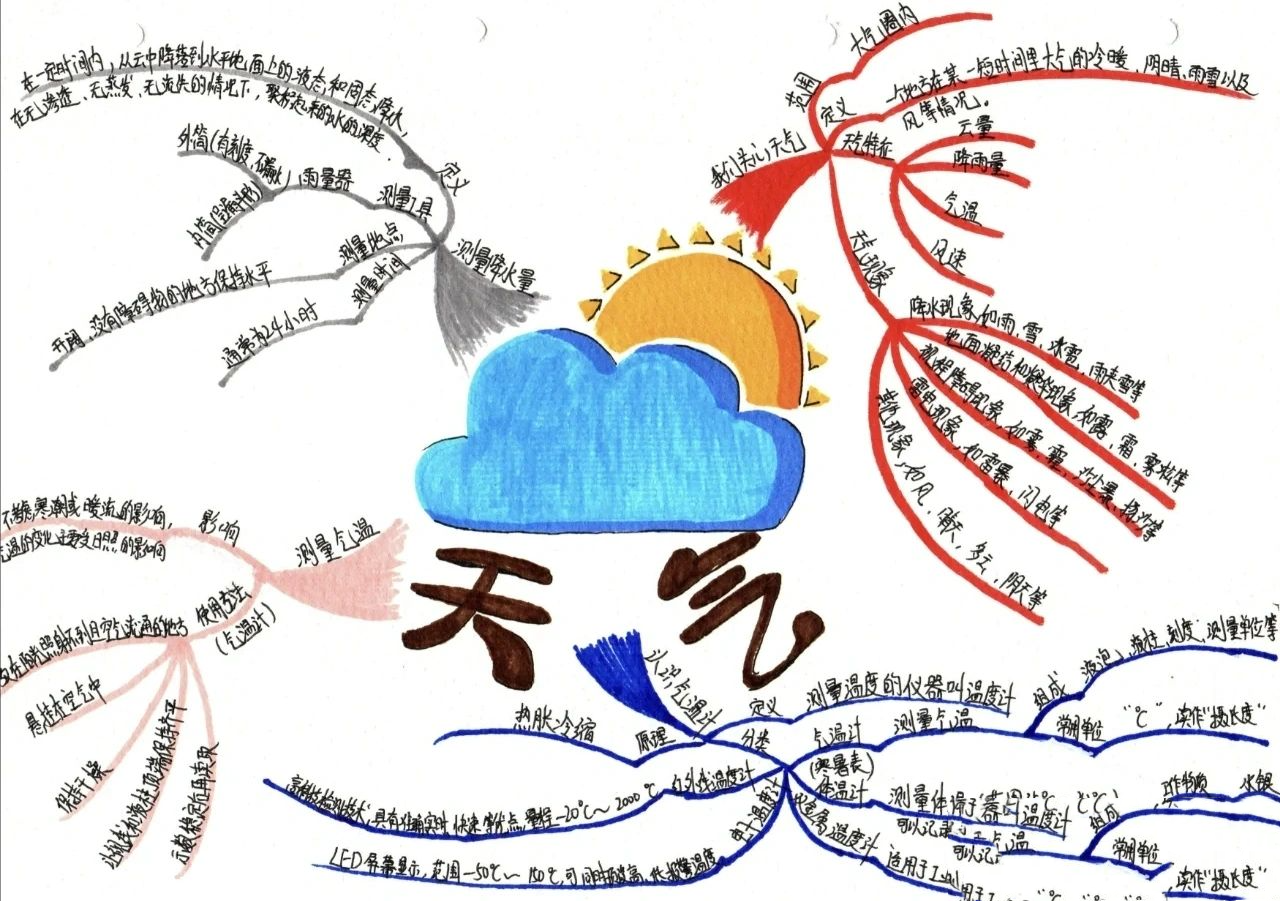 三年级上册科学导图图片