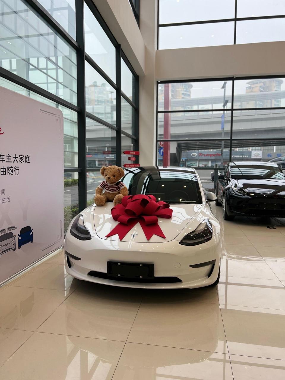 喜提毛豆3 新车新风貌 接下来的日子顺顺利利7815
